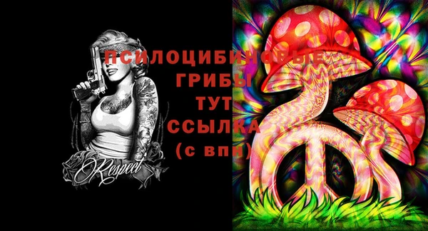 ALPHA PVP Кодинск