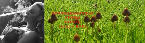 ALPHA PVP Кодинск