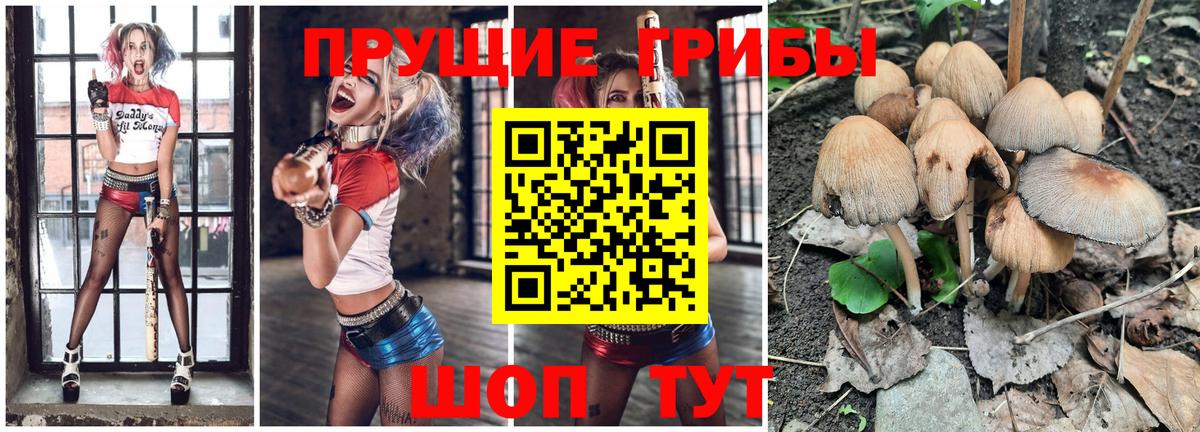 Галлюциногенные грибы GOLDEN TEACHER Волгодонск