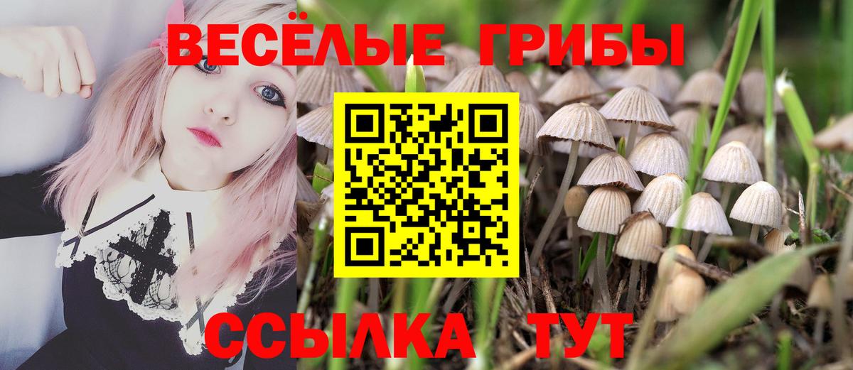Волгодонск  Псилоцибиновые грибы прущие грибы  Вход с VPN 