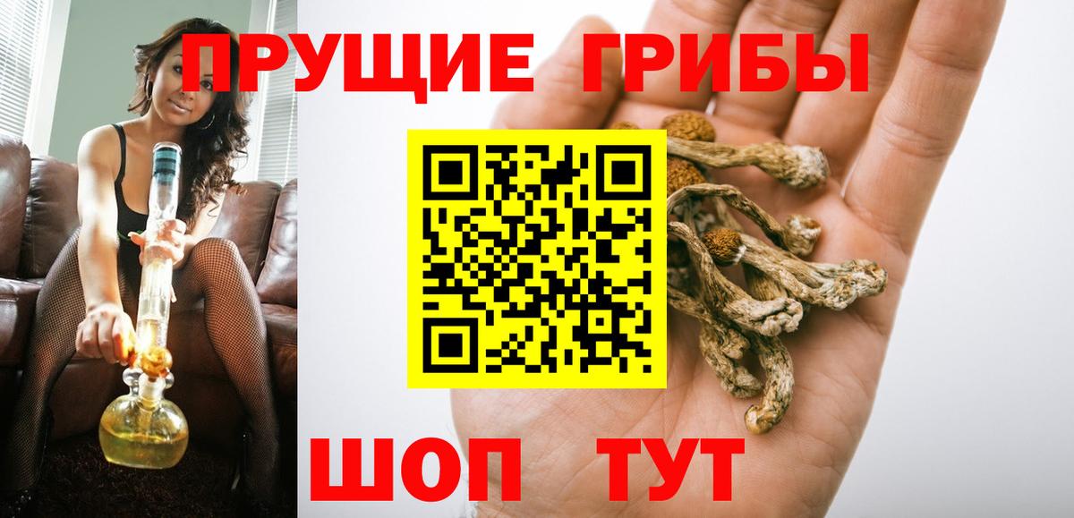 Псилоцибиновые грибы прущие грибы  где можно купить   Волгодонск 