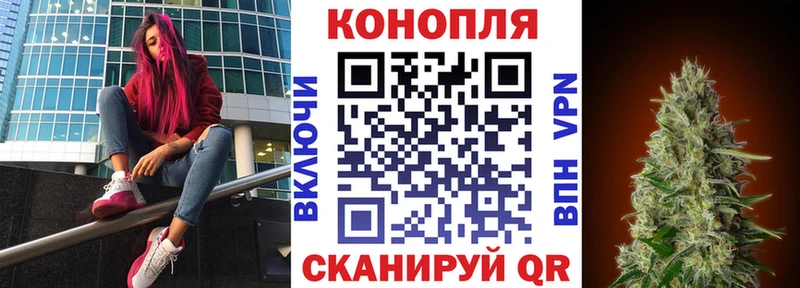 Шишки марихуана Bruce Banner продажа наркотиков Волгодонск