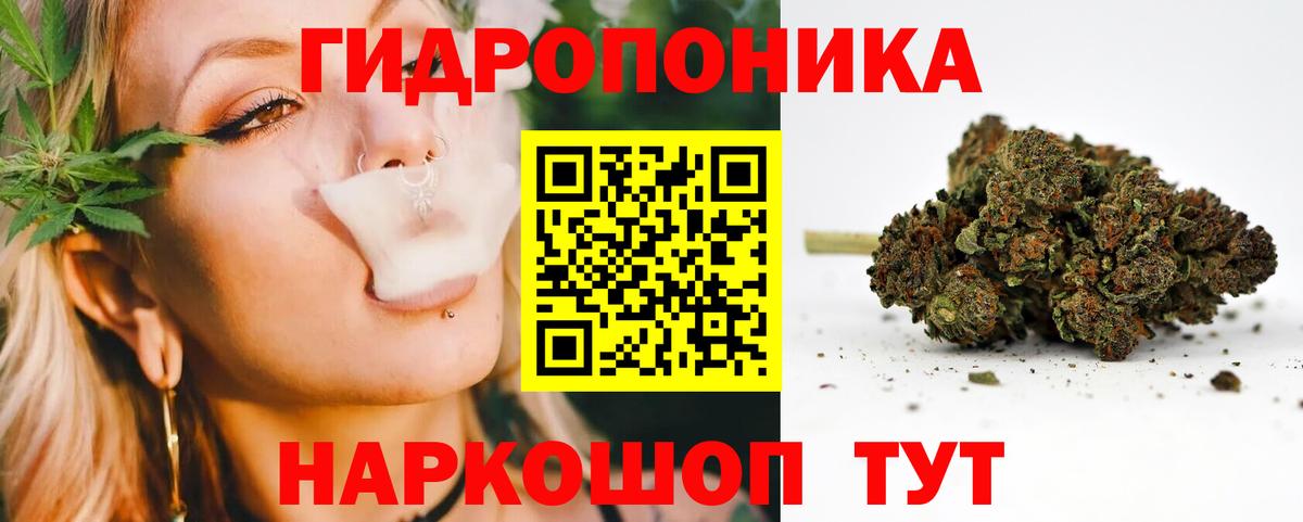 Канабис конопля Волгодонск